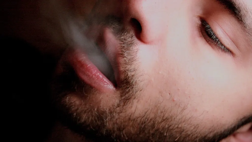 A great bushy beard? A great bushy beard?