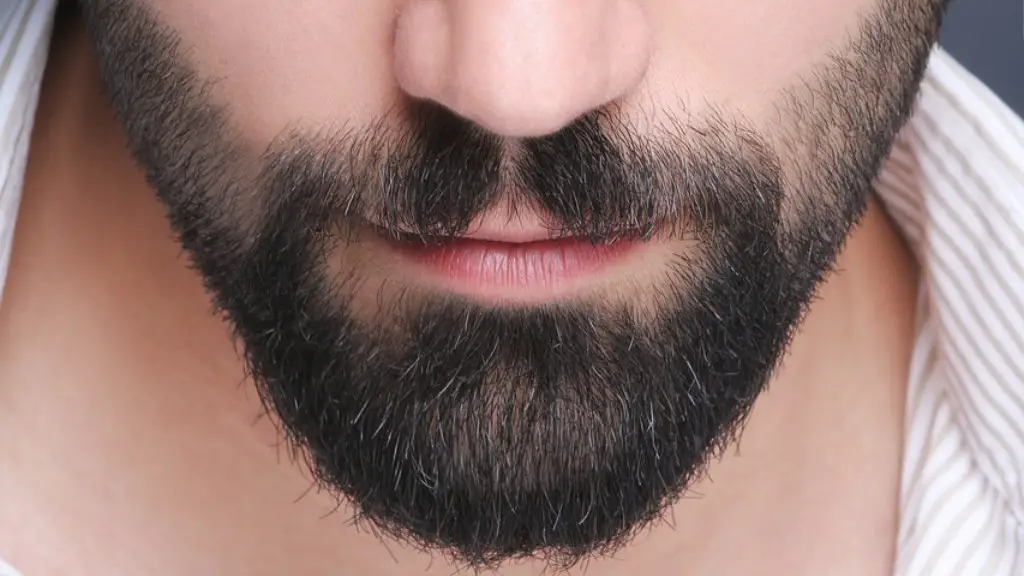 Does This Beard Make Me Look Gay