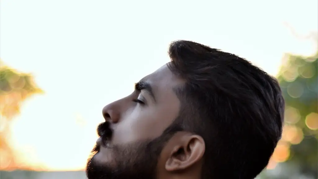 How To Cut The Perfect Beard