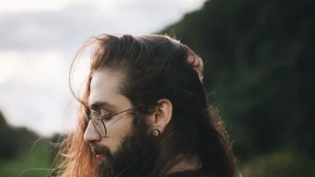 How to use wild willies beard straightener?