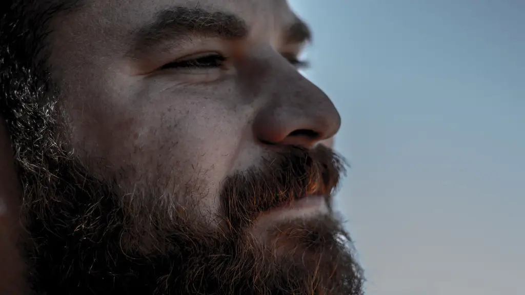 How To Groom Your Own Beard