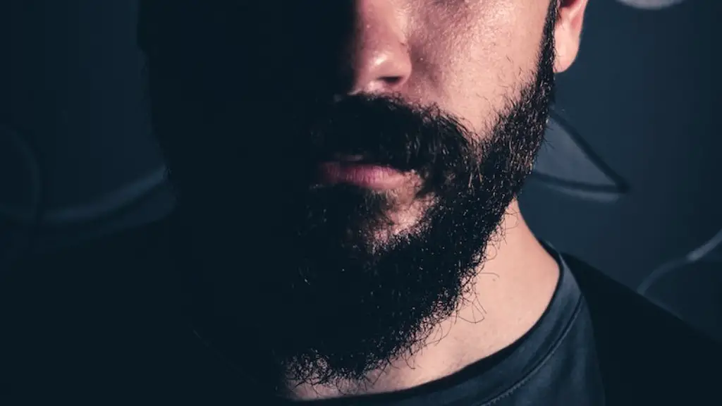 How To Comb Long Beard