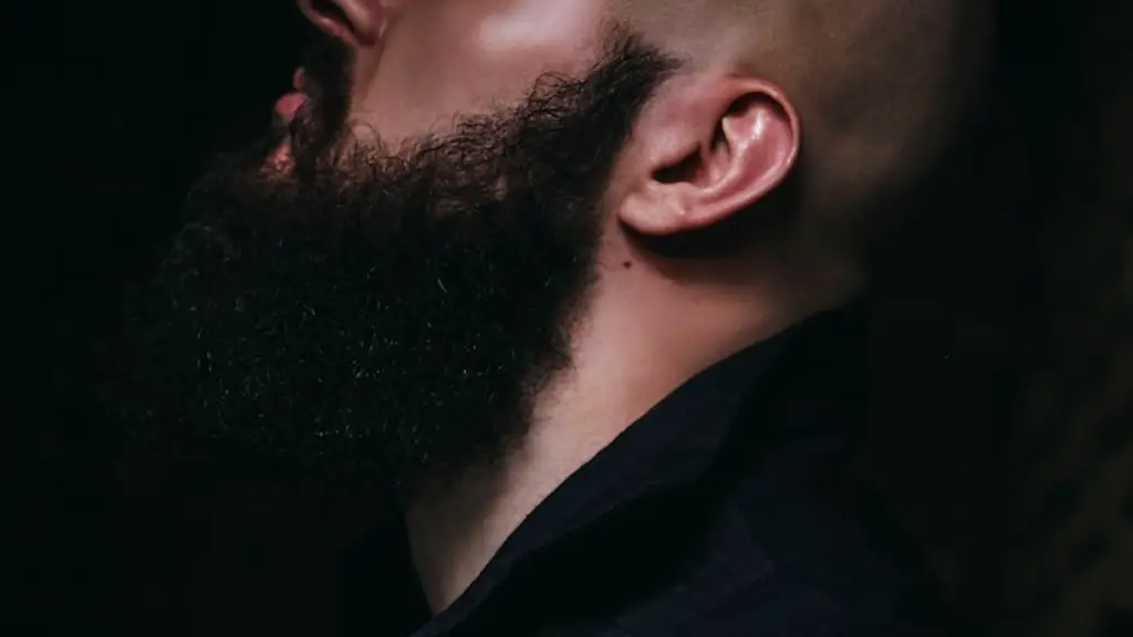 How To Grow Beard Follicles